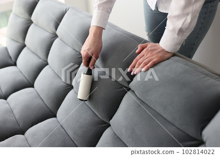 Woman uses roller to remove pellets from grey soft couch 102814022
