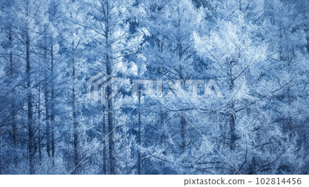 里山之霜，藍色的世界（Hiruzen Plateau） 102814456