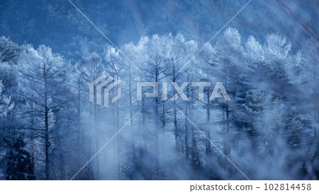 Frost on Satoyama, Blue World (Hiruzen Plateau) 102814458