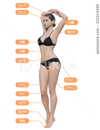 全身前部 3D 模型女性插圖與背部脫毛手術部位 全身前部 3D 模型女性插圖與背部脫毛手術部位 102814499