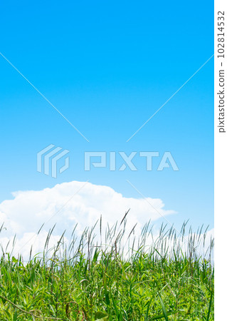 Blue sky with big white clouds and grass Blue sky with big white clouds and grass 102814532