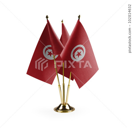 Small national flags of the Tunisia on a white background 102814632