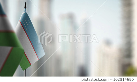 Small flags of the Uzbekistan on an abstract blurry background Small flags of the Uzbekistan on an abstract blurry background 102814690