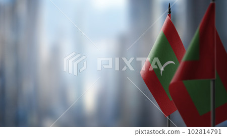 Small flags of the Maldives on an abstract blurry background 102814791