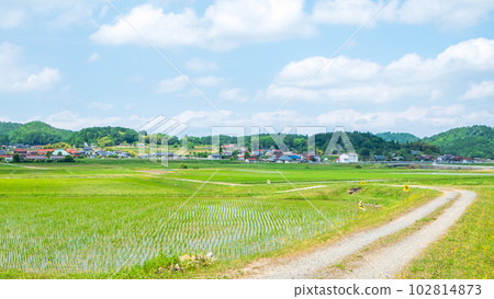 tranquil rural landscape 102814873