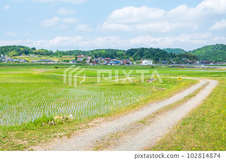 寧靜的鄉村景觀 102814874