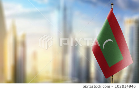 Small flags of the Maldives on an abstract blurry background 102814946