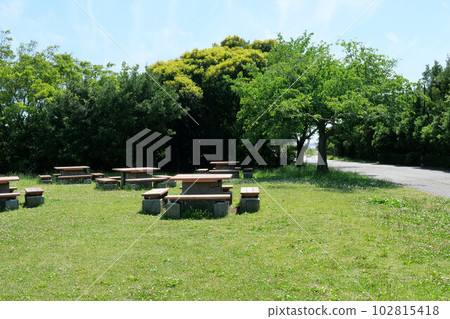 公園裡的長椅和桌子 公園裡的長椅和桌子 102815418