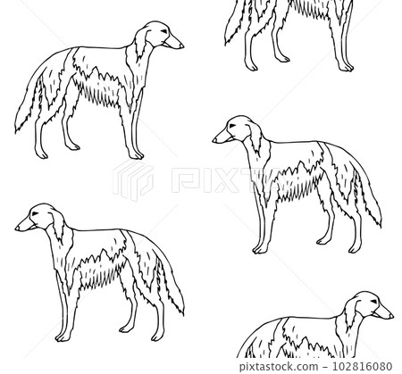 Vector seamless pattern of russian borzoi dog 102816080