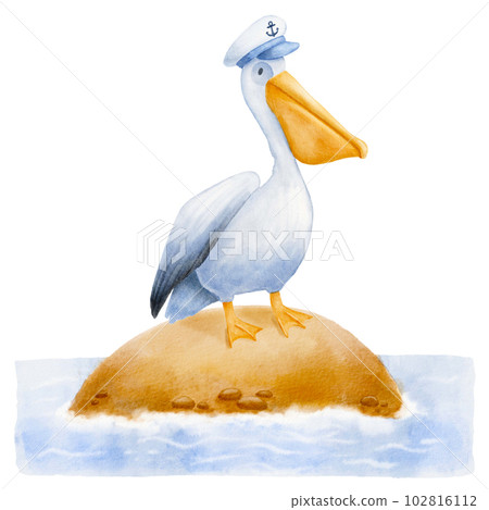 Pelican bird standing on island. Watercolor illustration isolated on white. Funny pelican with nautical captain hat. 102816112