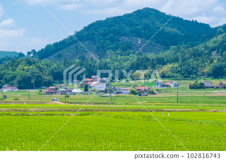 寧靜的鄉村景觀 寧靜的鄉村景觀 102816743