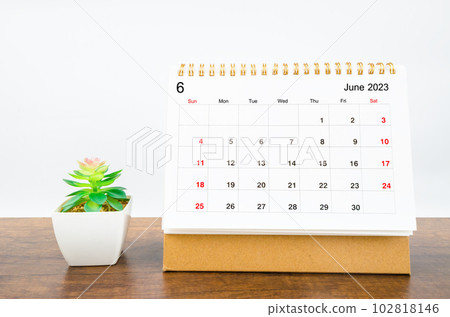 The June 2023 Monthly desk calendar for 2023 year with small plant on wooden table. 102818146