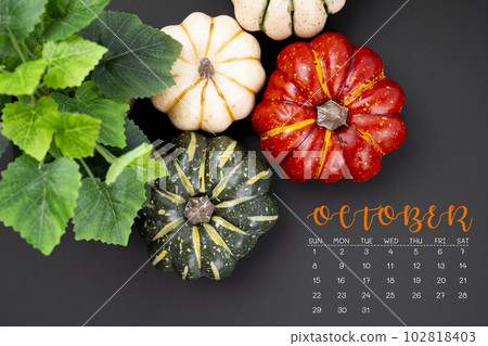 The October 2023 Calendar and pumpkins on black color background. The October 2023 Calendar and pumpkins on black color background. 102818403