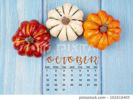 The October 2023 Calendar and pumpkins on wooden color background. The October 2023 Calendar and pumpkins on wooden color background. 102818405