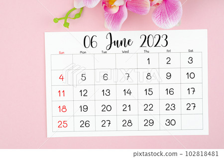 The June 2023 calendar page and pink orchid on pink background. The June 2023 calendar page and pink orchid on pink background. 102818481