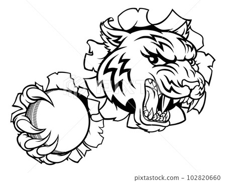 Tiger Cricket Player Animal Sports Mascot 102820660
