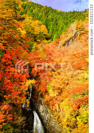Konaka Otaki (Midori-shi, Gunma Prefecture) 102821133