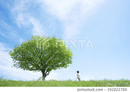 A child standing in a field with a lone tree on a sunny day 102822780