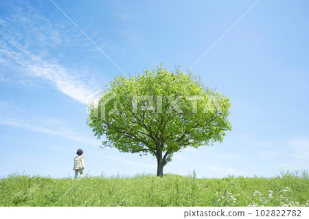 A child standing in a field with a lone tree on a sunny day 102822782