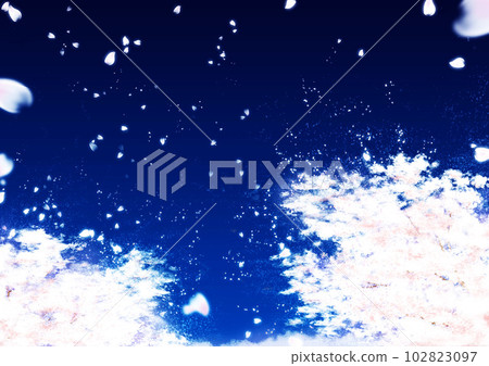 cherry blossoms at night blizzard cherry blossoms fantastic cherry blossoms at night blizzard cherry blossoms fantastic 102823097