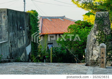 A beautiful slope leading from Shurijo Castle, Shima Sea Villa (Naha City, Okinawa Prefecture) A beautiful slope leading from Shurijo Castle, Shima Sea Villa (Naha City, Okinawa Prefecture) 102823631