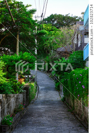 A beautiful slope leading from Shurijo Castle, Shima Sea Villa (Naha City, Okinawa Prefecture) A beautiful slope leading from Shurijo Castle, Shima Sea Villa (Naha City, Okinawa Prefecture) 102823714