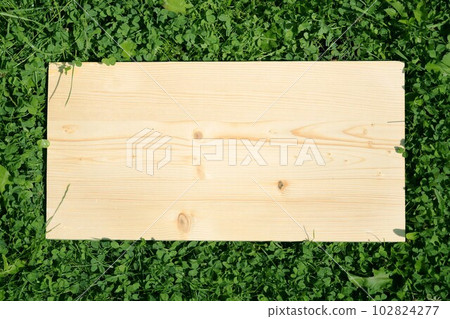 A wooden rectangular board lies on the grass, on the clover. A light tree, and around the lush green grass. A wooden rectangular board lies on the grass, on the clover. A light tree, and around the lush green grass. 102824277