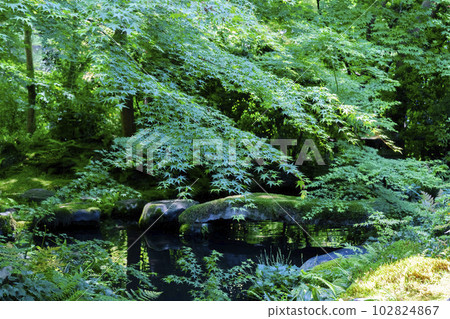 京都府京都市新綠楓和琉璃光院 Garyu-no-niwa 102824867