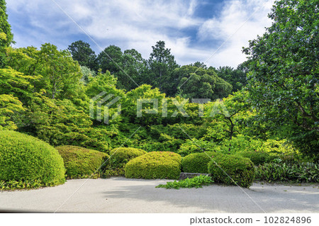 京都府京都市Shisendo Jozanji Temple,初夏風景,新鮮的綠色花園 京都府京都市Shisendo Jozanji Temple,初夏風景,新鮮的綠色花園 102824896