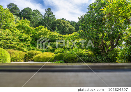 京都府京都市Shisendo Jozanji Temple，初夏風景，新鮮的綠色花園 102824897