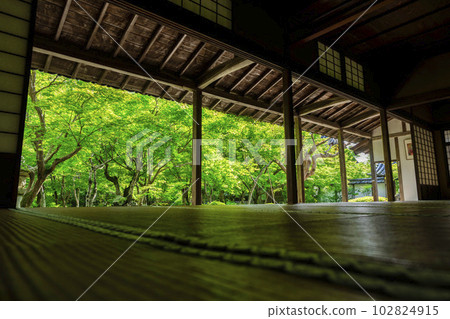 Scenery of Enkoji Temple The fresh green garden seen from the study room Kyoto City, Kyoto Prefecture 102824915