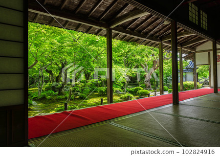 Scenery of Enkoji Temple The fresh green garden seen from the study room Kyoto City, Kyoto Prefecture 102824916