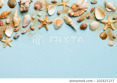 Summer time concept Flat lay composition with beautiful starfish and sea shells on colored table, top view with copy space for text Summer time concept Flat lay composition with beautiful starfish and sea shells on colored table, top view with copy space for text 102825157