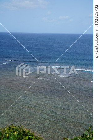 Coral reef coast 102825732