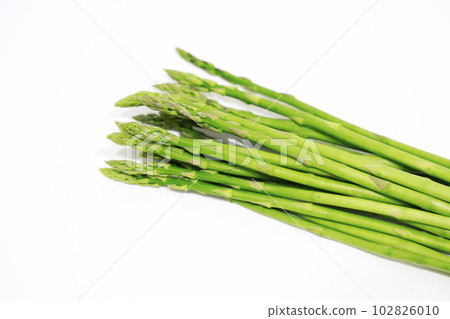 Harvested asparagus 102826010