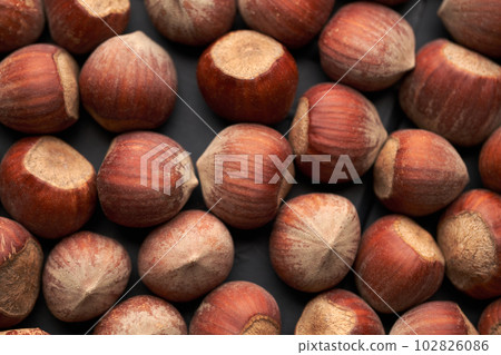 Whole hazelnuts nuts with shell close-up studio shot 102826086