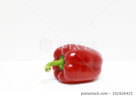 freshly picked red paprika freshly picked red paprika 102826425