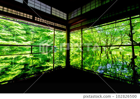 京都府京都市新鮮的綠楓和 Ruriko-in 寺景觀 京都府京都市新鮮的綠楓和 Ruriko-in 寺景觀 102826500