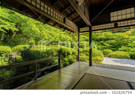 京都府京都市Shisendo Jozanji Temple，初夏風景，新鮮的綠色花園 102826754