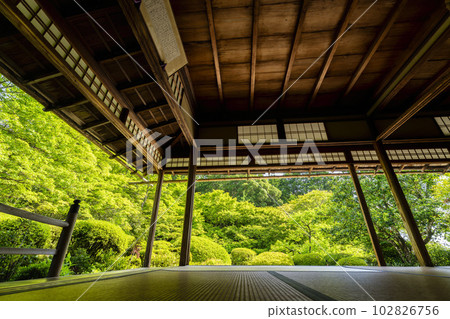 京都府京都市Shisendo Jozanji Temple，初夏風景，新鮮的綠色花園 102826756