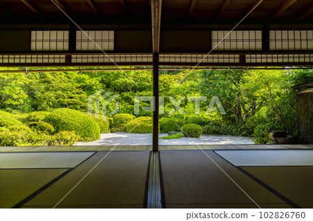 京都府京都市Shisendo Jozanji Temple,初夏風景,新鮮的綠色花園 京都府京都市Shisendo Jozanji Temple,初夏風景,新鮮的綠色花園 102826760