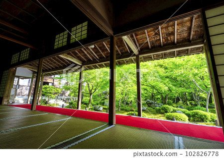 Scenery of Enkoji Temple The fresh green garden seen from the study room Kyoto City, Kyoto Prefecture 102826778