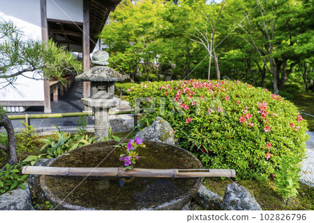 Scenery of Enkoji Temple, Suikinkutsu and Azalea, Kyoto City, Kyoto Prefecture 102826796