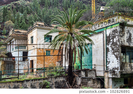 Lost place in Valle de Agaete at Gran Canaria, Canary Islands, Spain. Balneario Berrazales, Botteleria Agua de Agaete 102826891
