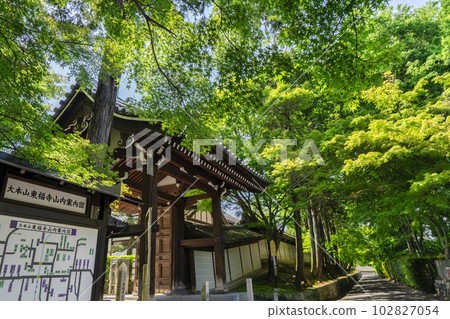 京都府京都市初夏的東福寺、新綠葉和草坂門 京都府京都市初夏的東福寺、新綠葉和草坂門 102827054