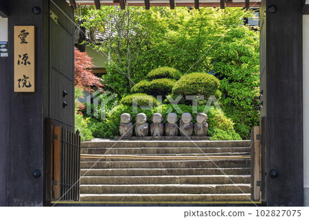 Jizo in front of the gate of Reigen-in Temple in early summer, Kyoto City, Kyoto Prefecture Jizo in front of the gate of Reigen-in Temple in early summer, Kyoto City, Kyoto Prefecture 102827075
