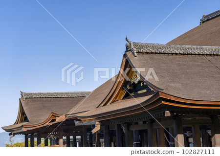 初夏的音羽山 清水寺正殿屋頂和屋脊瓦 京都府京都市 102827111