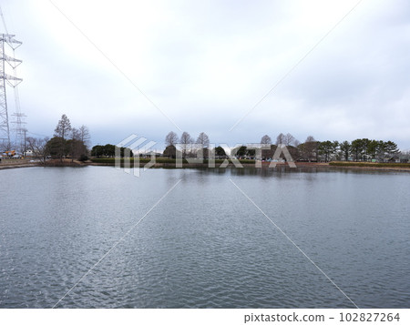 在河內町散步 在河內町散步 102827264