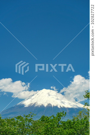 Fuji seen from the panorama observatory of Iwamotoyama Park 102827722
