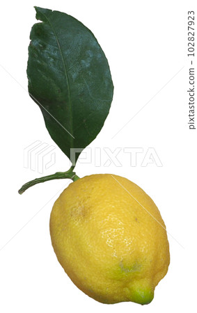 lemon fruit transparent PNG 102827923